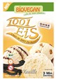 Zmrzlina Eis vanilka BIO 77g v prášku